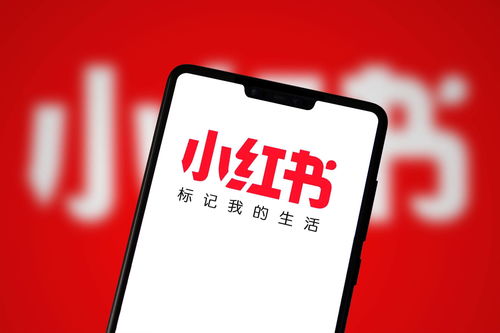 廣州小紅書達人推廣攻略 如何在網絡科技領域高效開展技術開發推廣